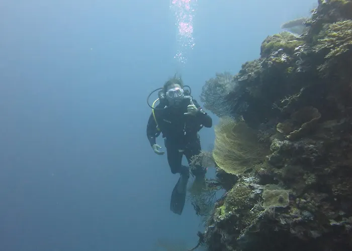 D & D Dive Center *