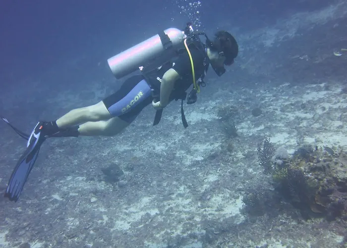 ベッド・アンド・ブレックファスト D & D Dive Center *